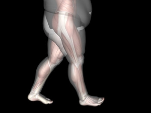 Obesity May Lead to Ankle Pain