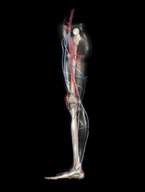 Symptoms and Causes of Poor Circulation